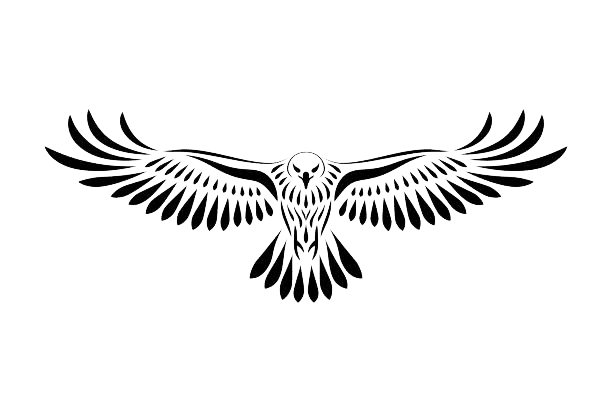 Hawkify